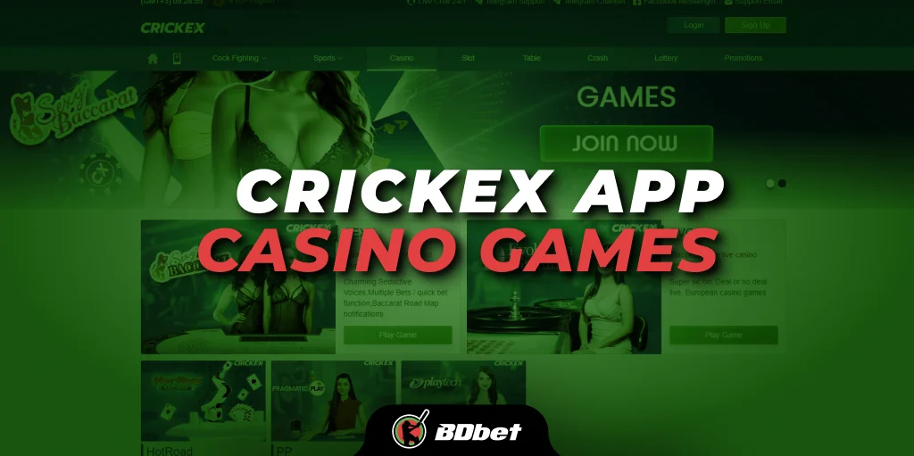 Crickex App Casino Games