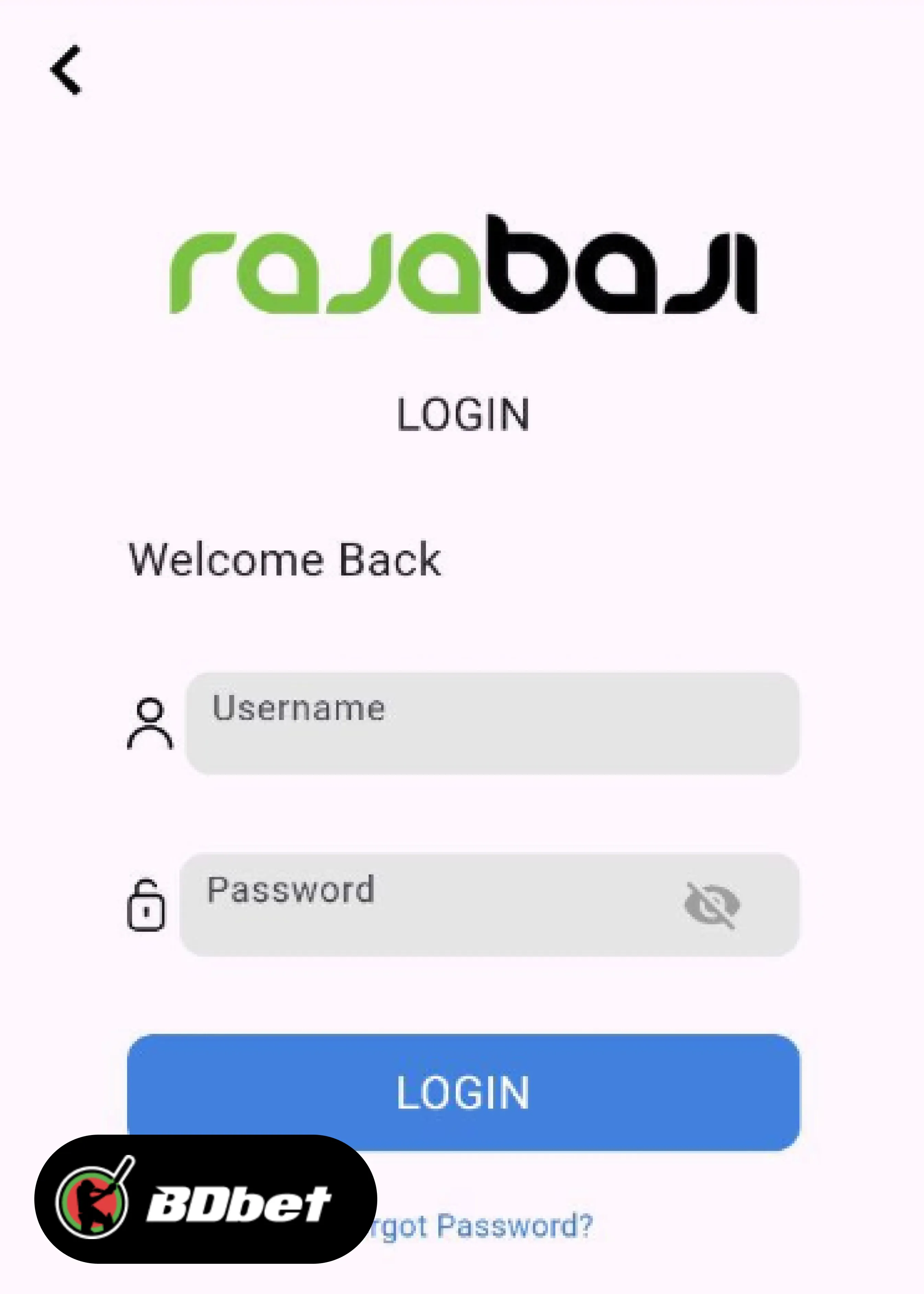 How to Log In to Your RajaBaji Account?