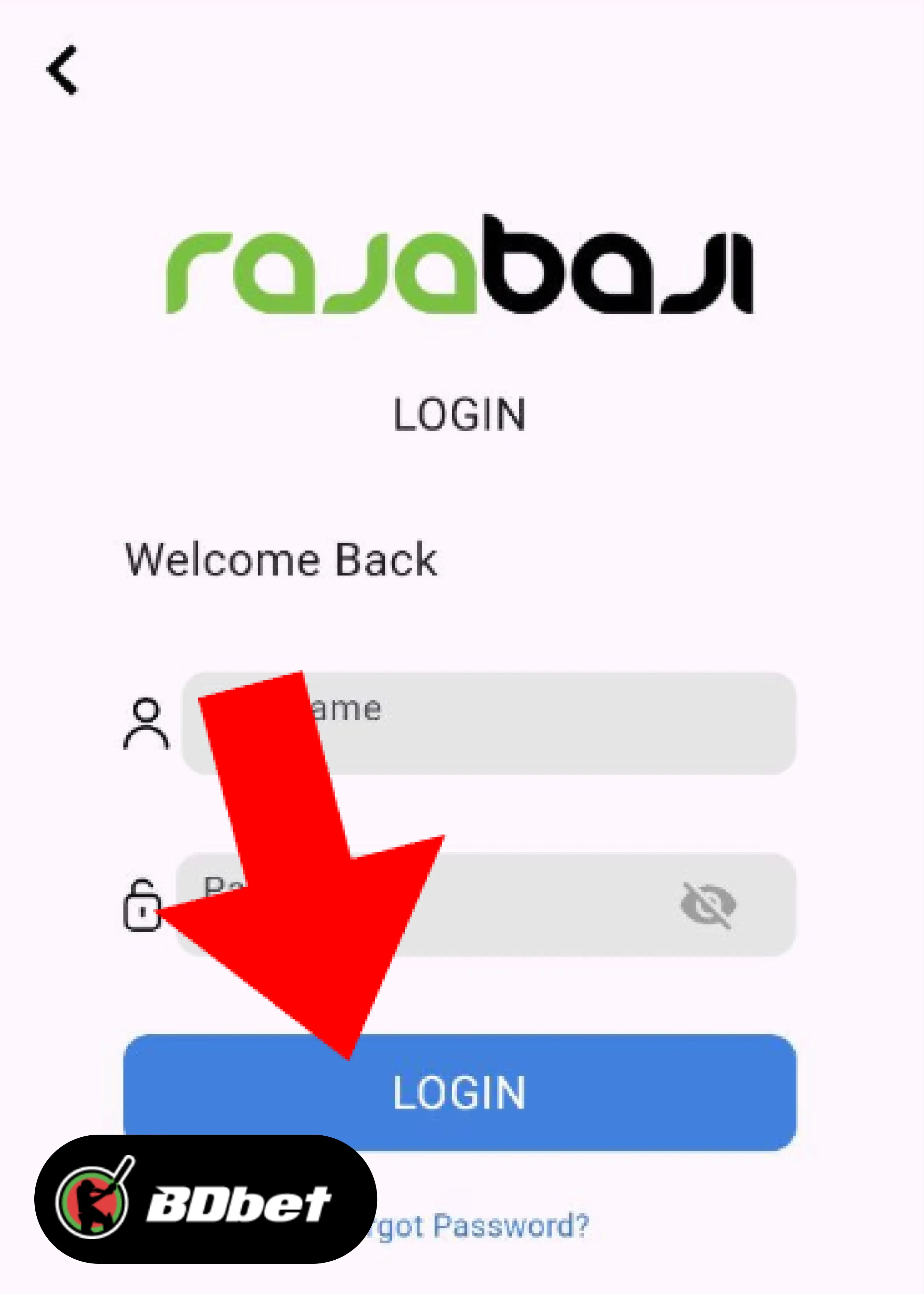 How to Log In to Your RajaBaji Account?
