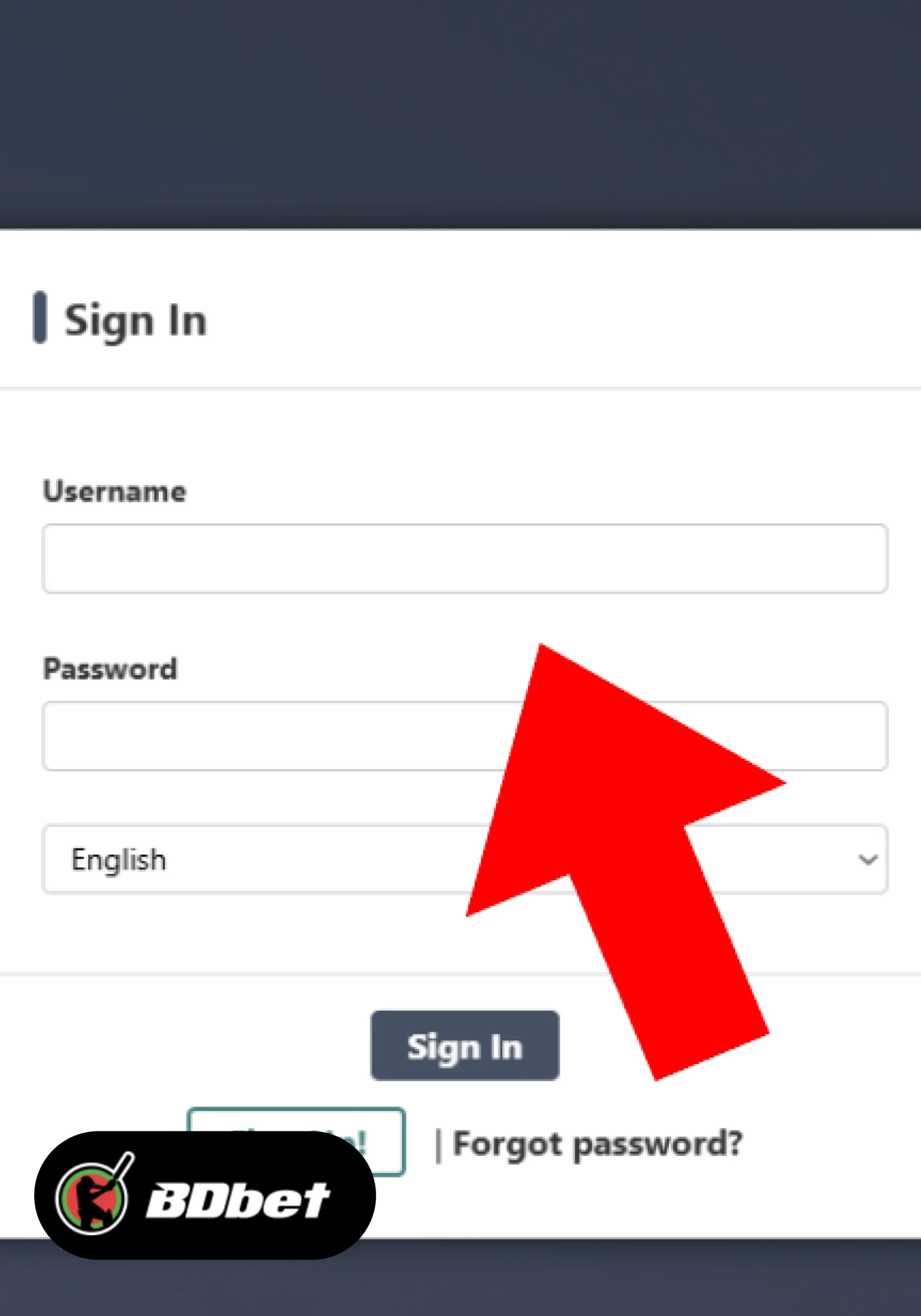 Step 3: Enter Your Login Information