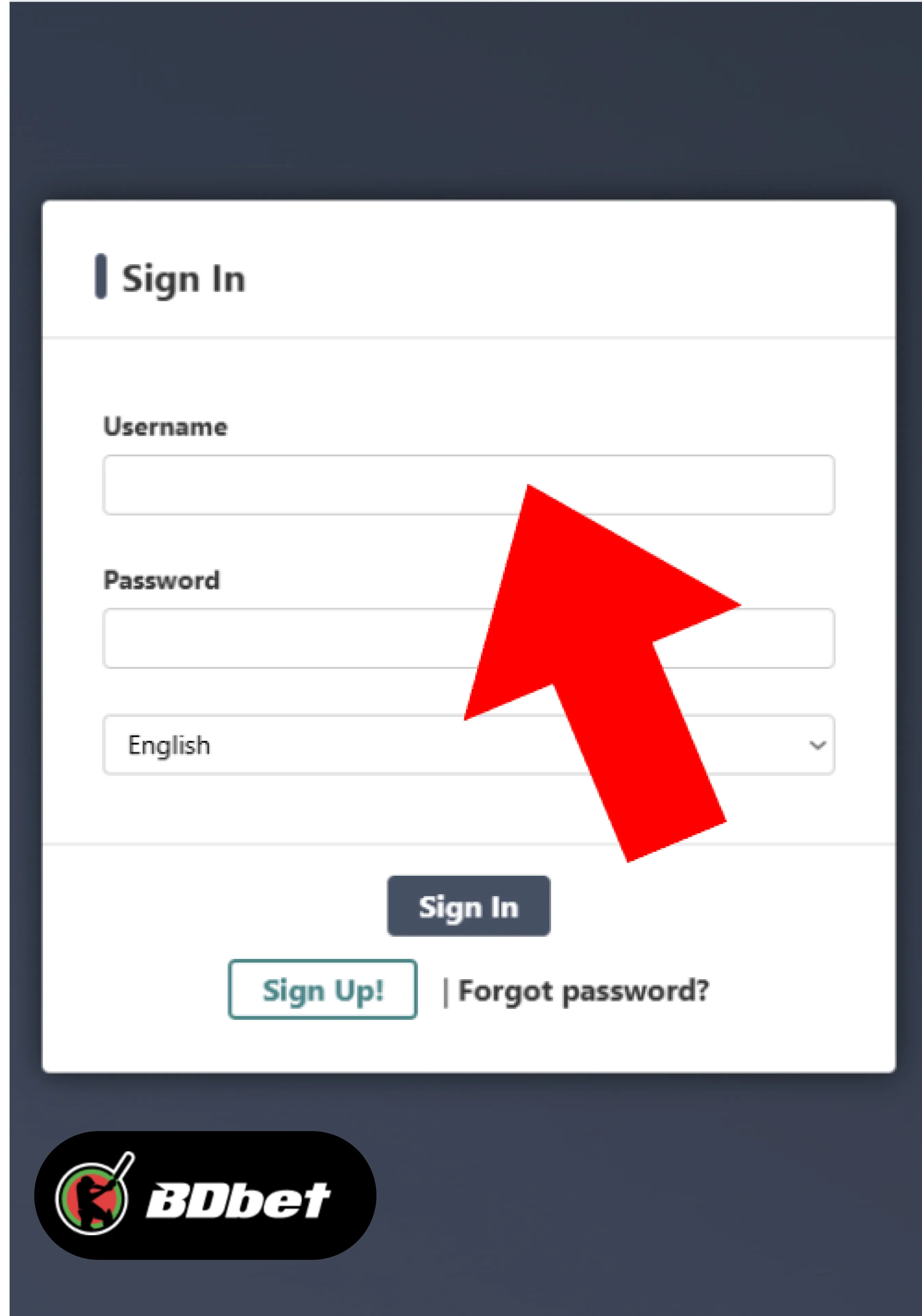 JeetBuzz Affiliate Login: