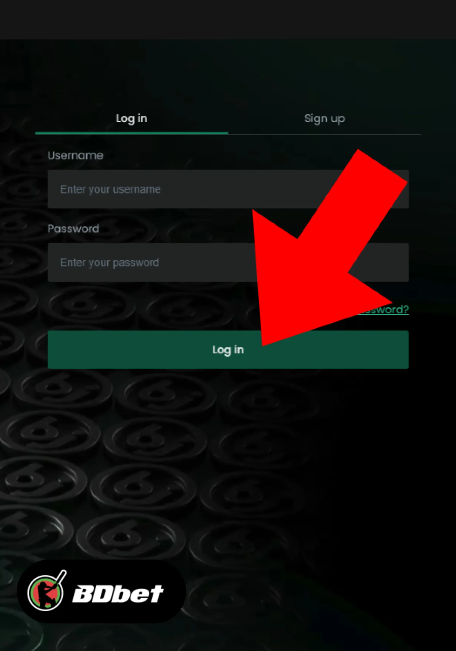 Step 5. Access the Account