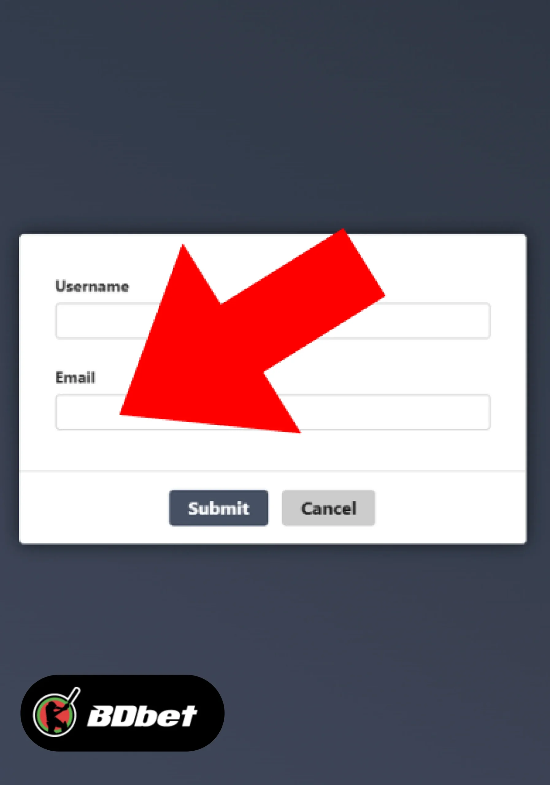 Step 2: Enter your email address