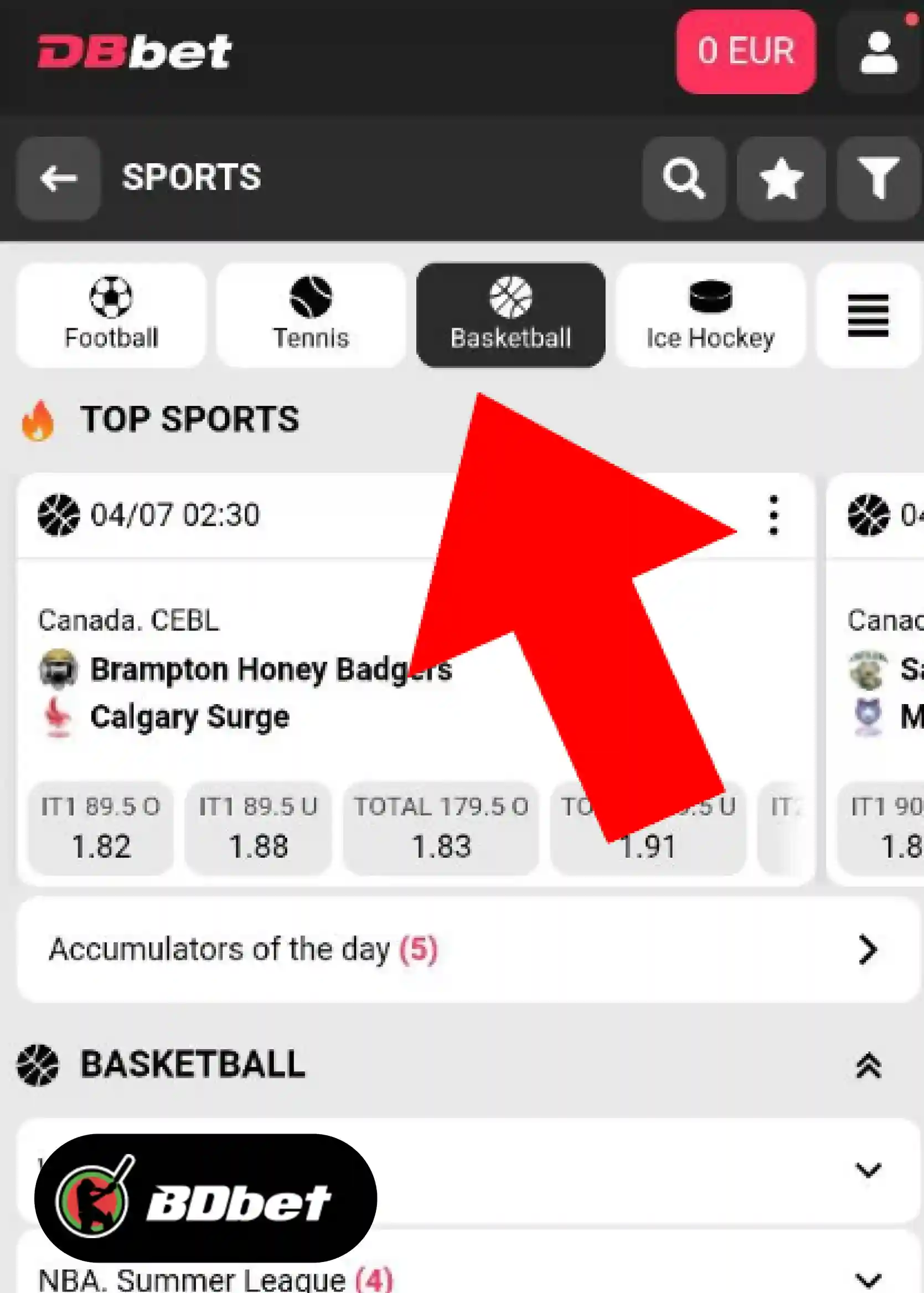 How to Place a Bet in DBbet?