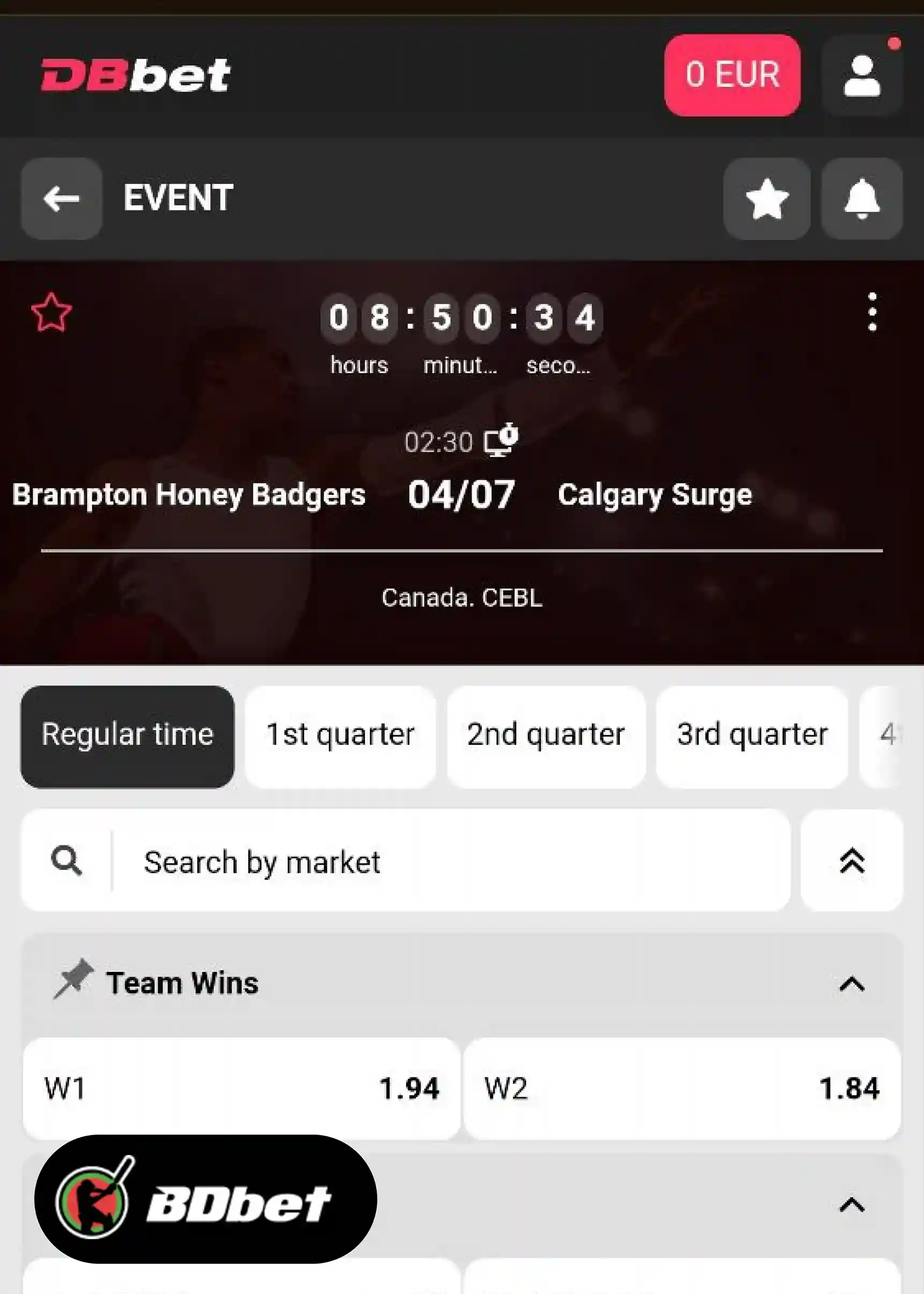How to Place a Bet in DBbet?