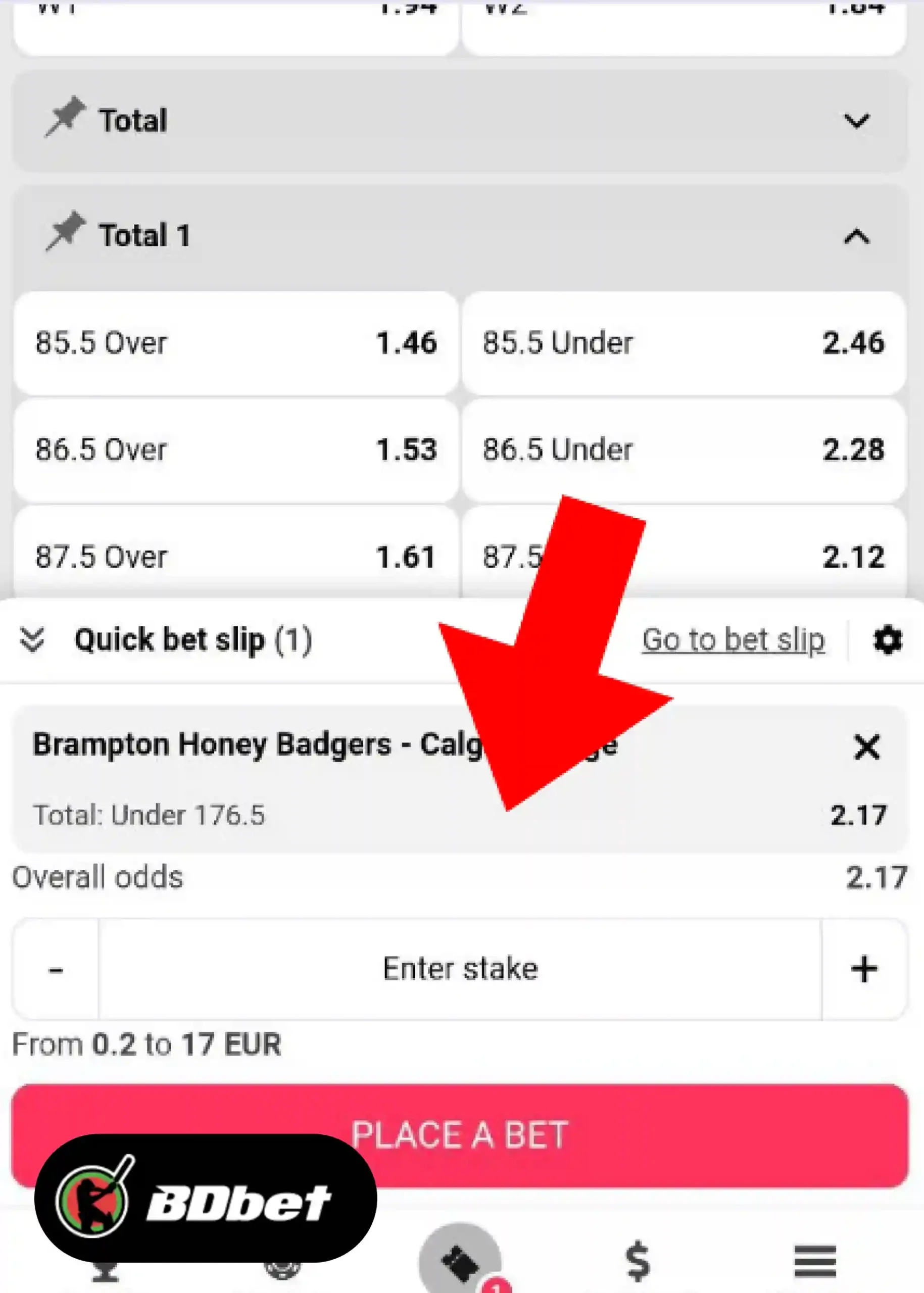 How to Place a Bet in DBbet?