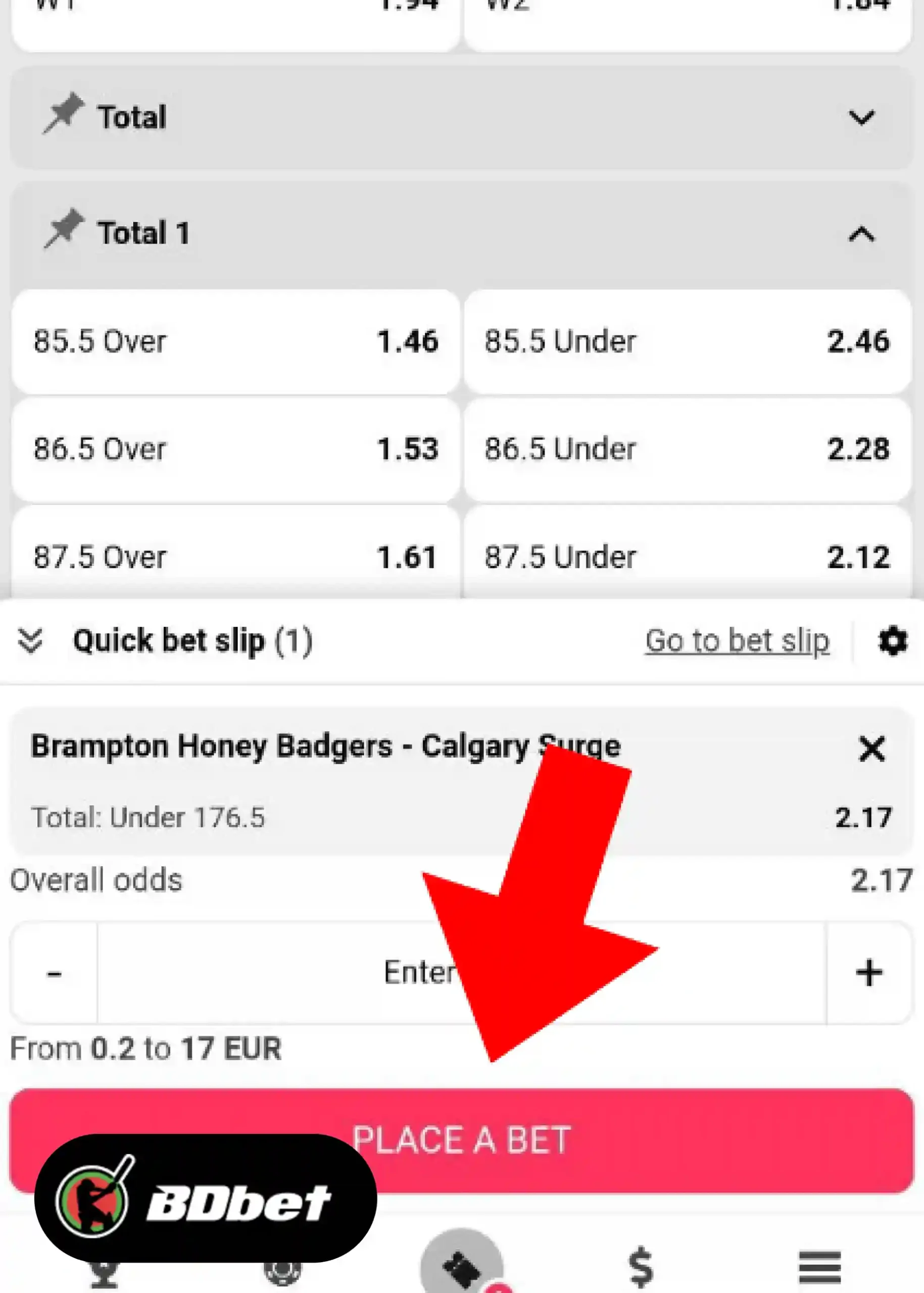 How to Place a Bet in DBbet?