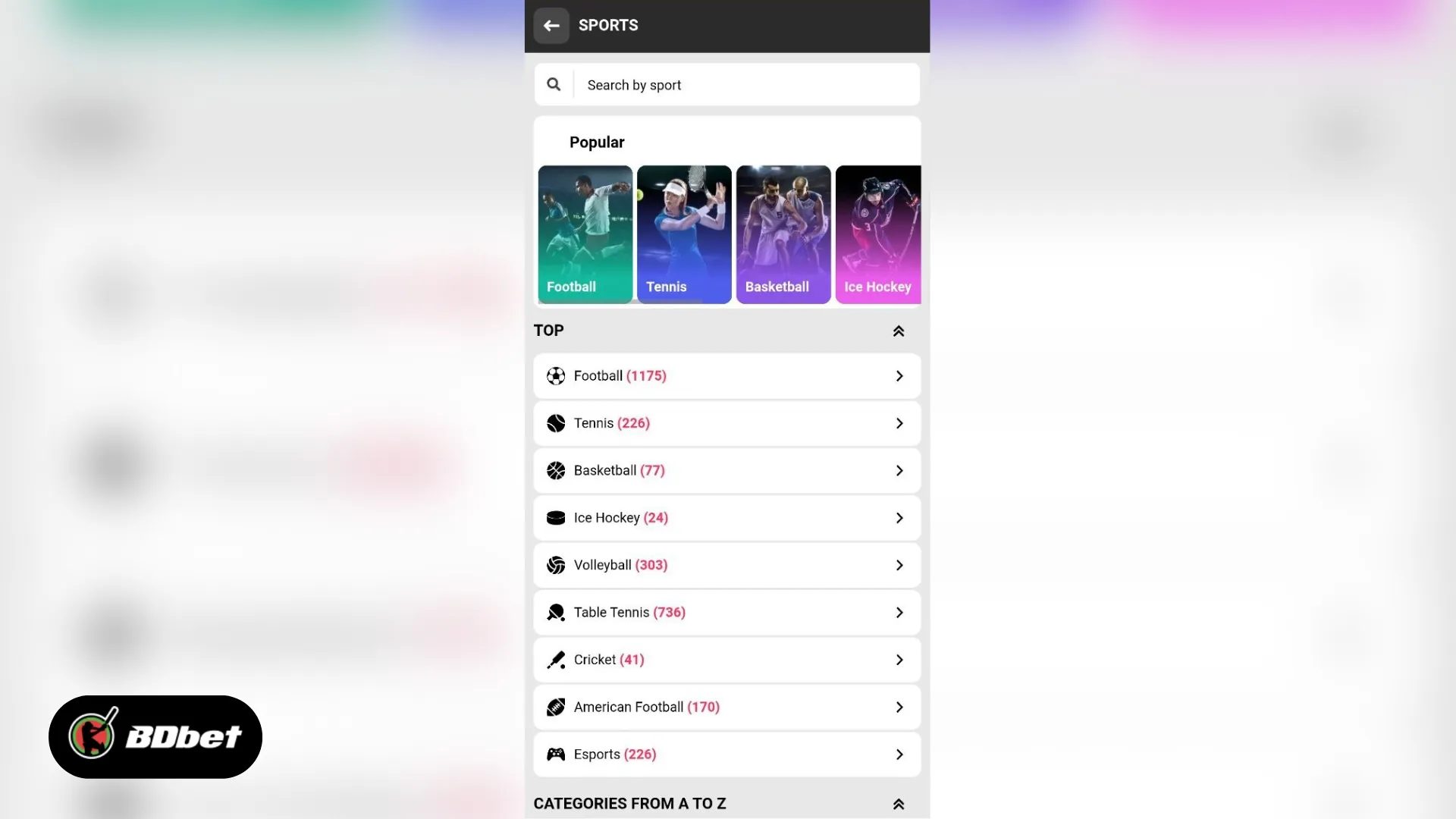 Sports Betting in DBbet