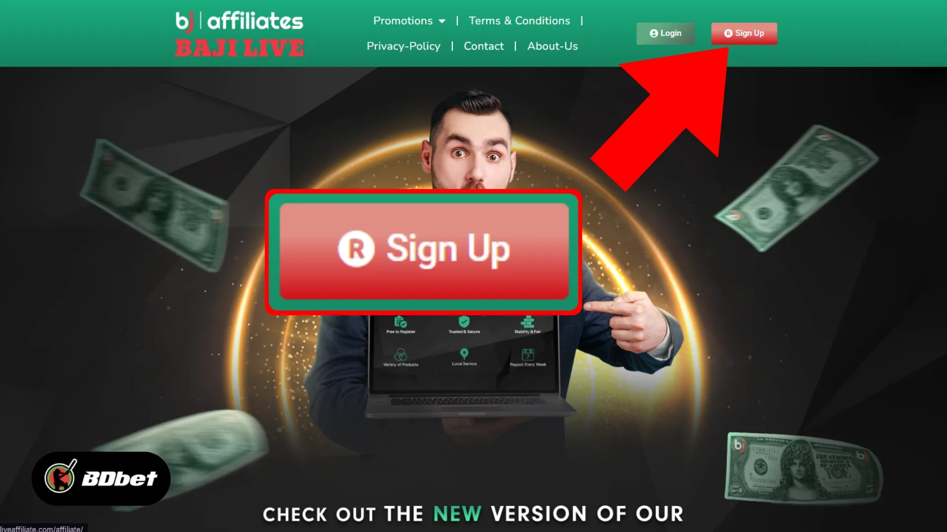 Step 1: Sign up for Affiliate account