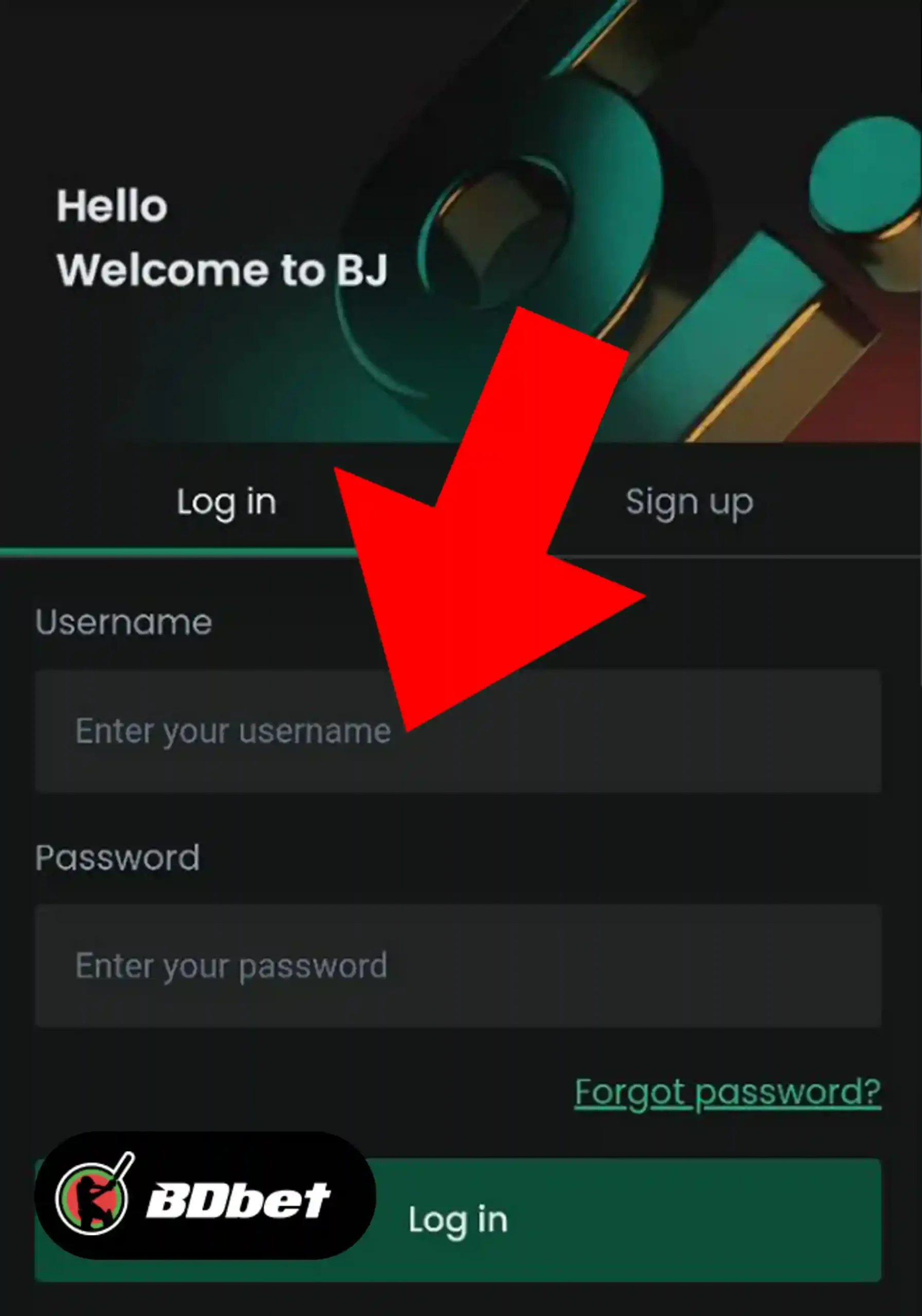 Step 2. Enter Login Details