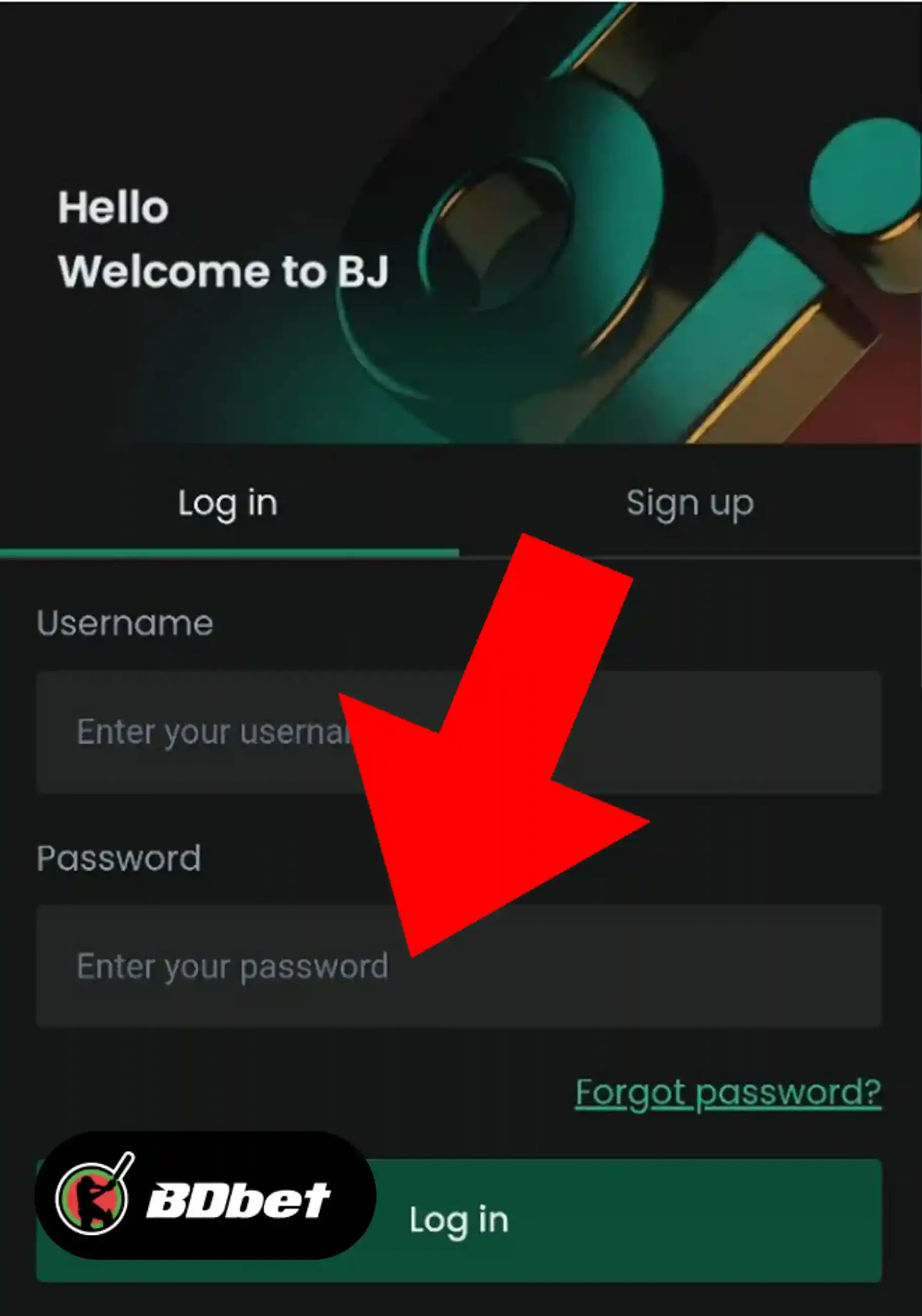 Step 3. Enter Password